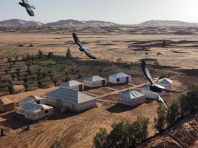 magical saharain camp